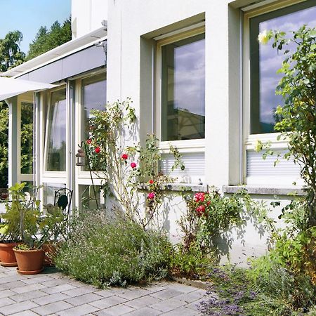 Ferienwohnung Zum Goldenen Kopf 埃尔察赫 外观 照片