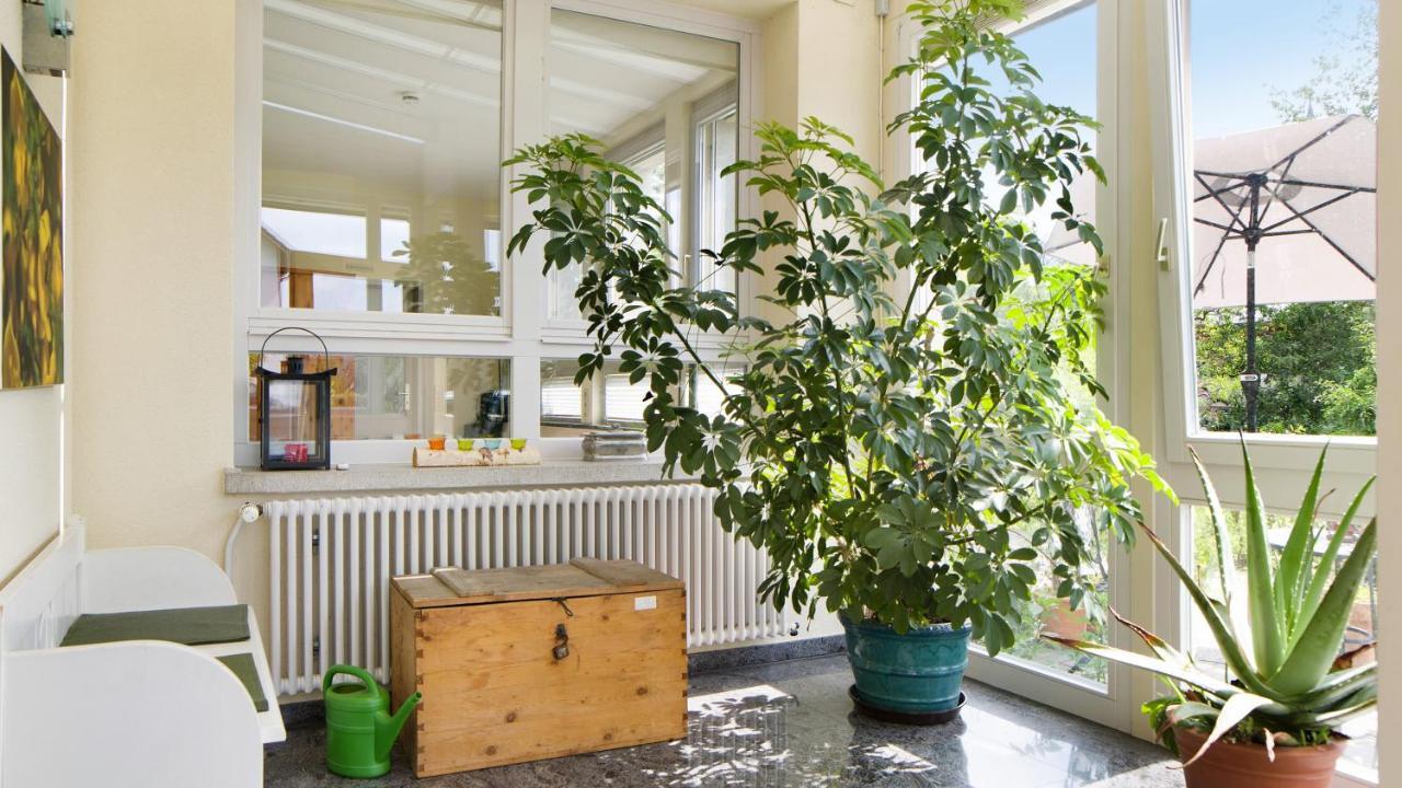 Ferienwohnung Zum Goldenen Kopf 埃尔察赫 外观 照片