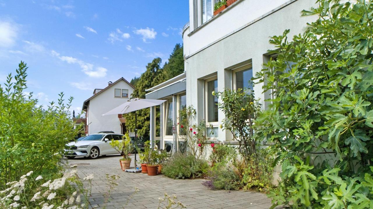 Ferienwohnung Zum Goldenen Kopf 埃尔察赫 外观 照片